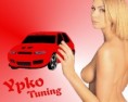 /album/virtual-tuning-kresleny/cerveni-sip2-jpg/